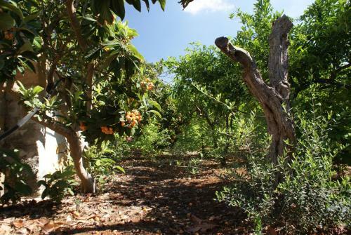 Agroturismo Giardini Romeo La Melia