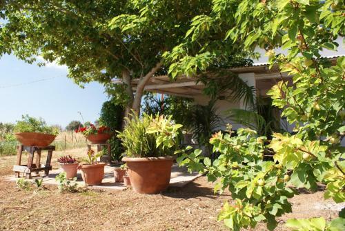 Agroturismo Giardini Romeo La Melia
