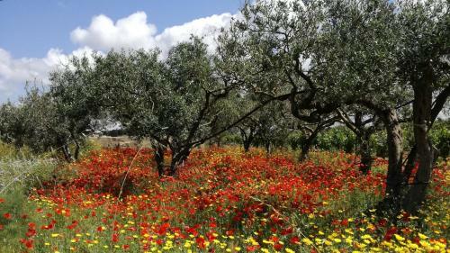 Agroturismo Giardini Romeo La Melia