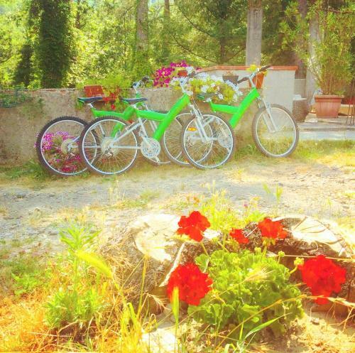 Agroturismo Le Apuane
