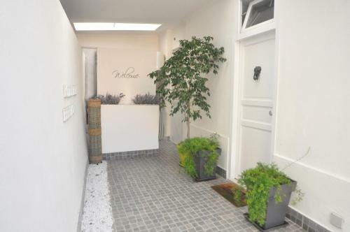 Bed & Breakfast Brenta 12