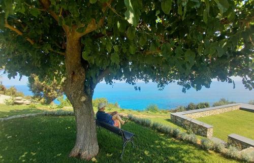 Villa The Cliff House