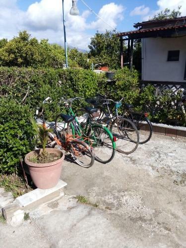 Apartamento Alloggio