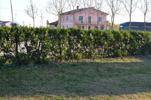 Cedro Venice Apartment