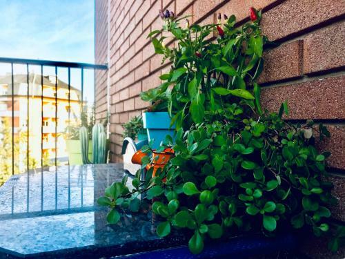 Peony Apartment, Bi-locale A Due Passi Dal Centro Di Modena