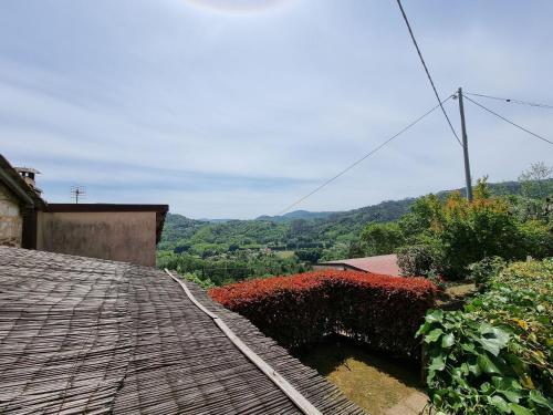 Charming Holiday Home In Camaiore With A Private Pool