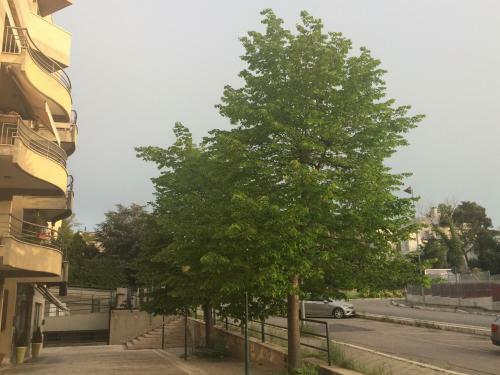 Residence Al Pino
