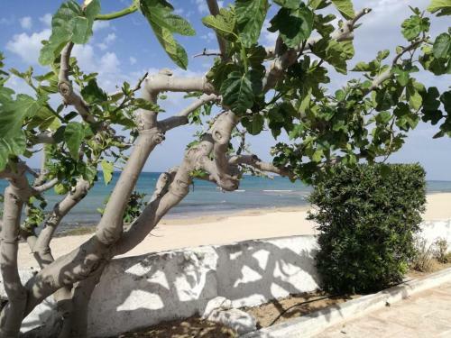 Apartamento Dimora Grazia In Riva Al Mare