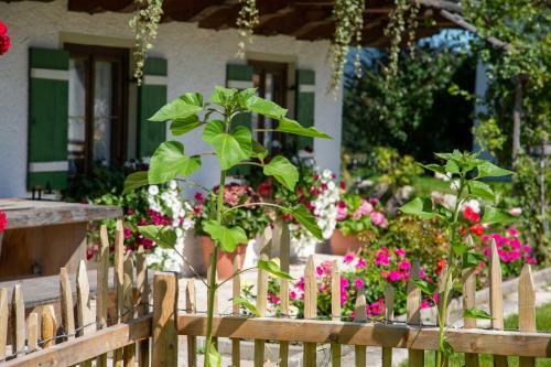 Agroturismo Ramslerhof - Chiemgau Karte