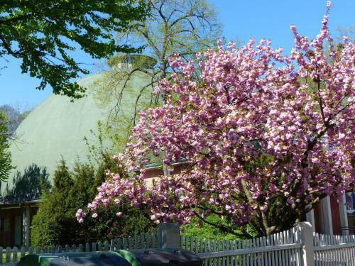 Apartamento City Quartier Jena