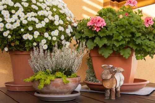 Apartamento Ferienwohnung An Den Grundwiesen