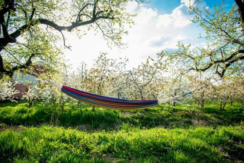 Deichkr�nchen Ferienwohnung Altes Land Hamburg