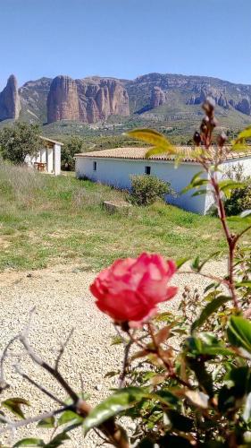 Camping Bungalows Armalygal