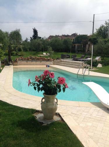 Hostal La Casa Fra Gli Ulivi