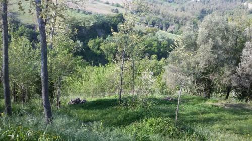 Agroturismo Cherry House - Geranio Apartment