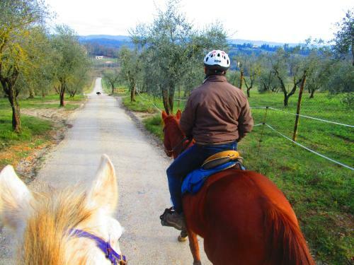 Apartamento Il Mandorlo Di Monteriggioni