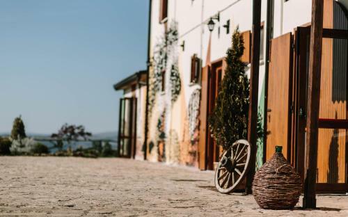 Agroturismo Agriturismo Il Riccio