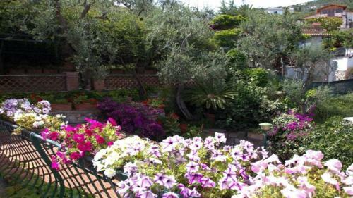 Villa Luise