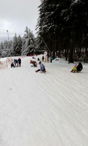 Ferienhaus 100 Am See Im Bergland