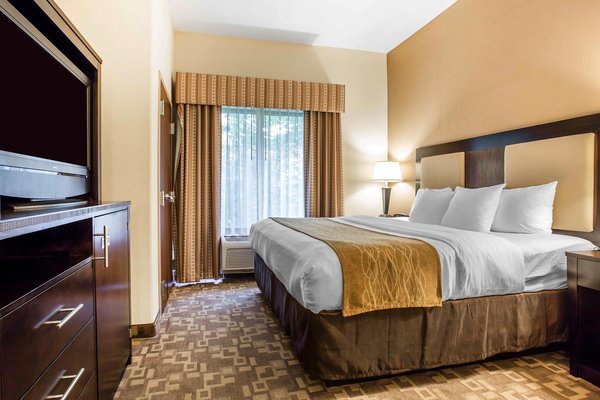 Hotel Comfort Suites At Kennesaw State University