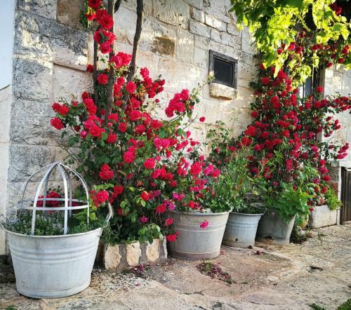 Agroturismo Masseria La Gatta Matta