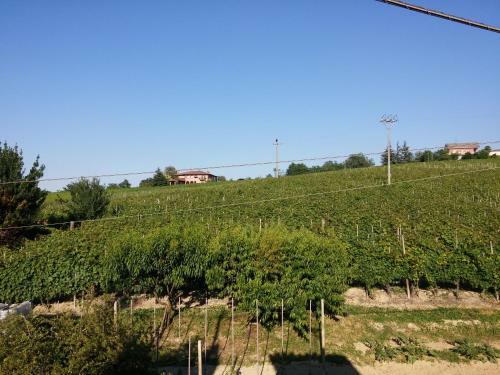 Chalet Nelle Vigne
