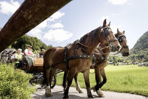 Hotel Ebner's Waldhof Am See Resort & Spa