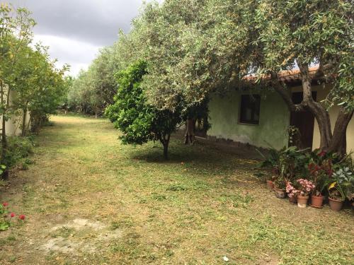 Ampia Casa Padronale Cod Iun P3279