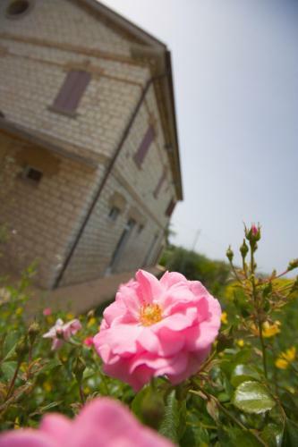 Agroturismo Agriturismo Casa Rossi