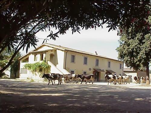 Agroturismo Agriturismo Biobagnolese