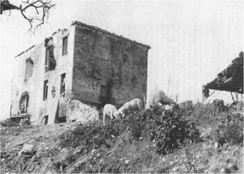 Lodge Casa Berardi Residenza Storica
