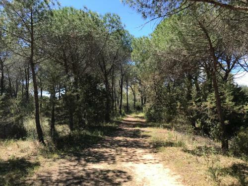 Villa Sa Curcurica