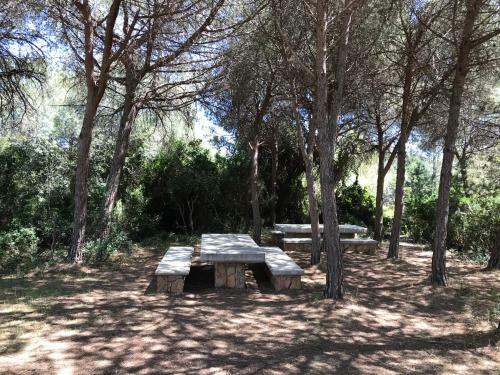 Villa Sa Curcurica