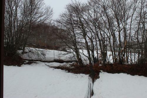 Apartamento Fiocco Di Neve, Residence Magnola