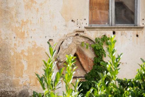 Apartamento Domus Festina Lente