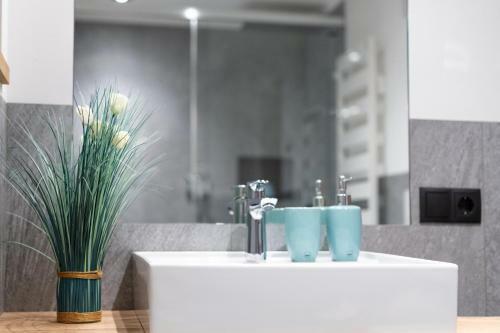 Apartment C�sa Zinch