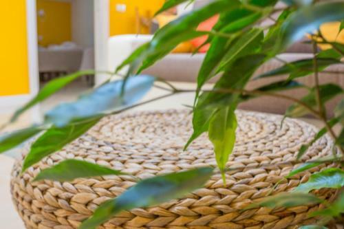 Apartamento Casa Vacanze Nonna Mariuccia