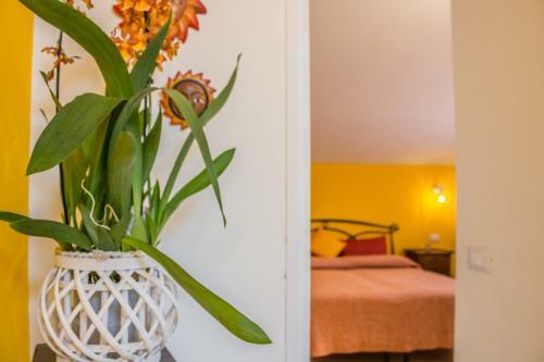 Apartamento Casa Vacanze Nonna Mariuccia
