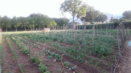 Agroturismo Agriturismo Tre Santi