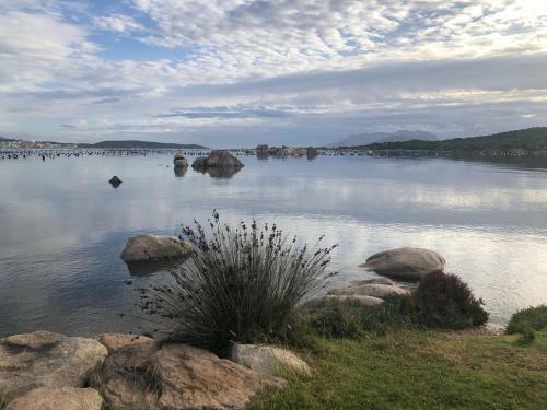 Olbia Mare Marina Seaview Apartment