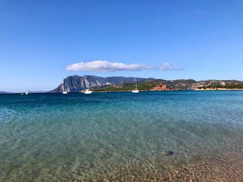 Olbia Mare Marina Seaview Apartment
