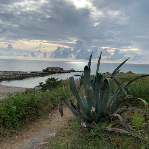 Villa Ippolita Localit� La Staffa