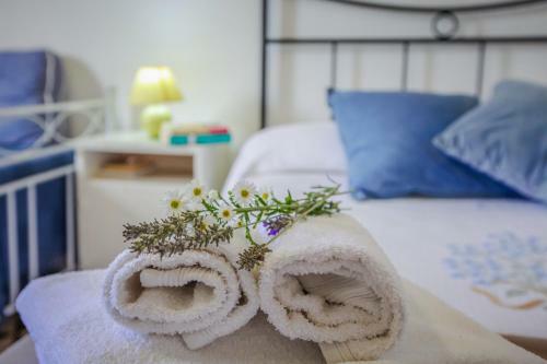 Agroturismo Casina Fumarola