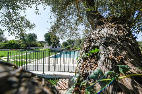 Apartamento Casale La Pietra With Infinity Pool