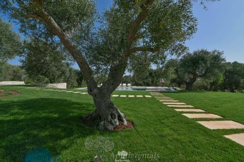 Apartamento Casale La Pietra With Infinity Pool