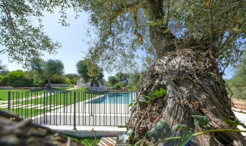Apartamento Casale La Pietra With Infinity Pool