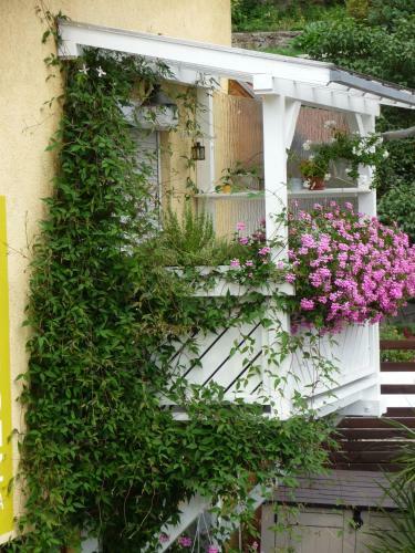 Apartamentos Villa K�nigheim
