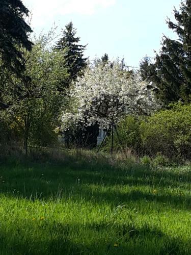 Apartamento Kuschelige Ferienwohnung Nahe Kronach