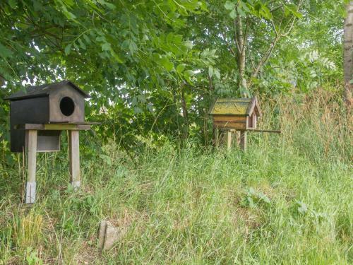 Apartamento Landurlaub Regenholz