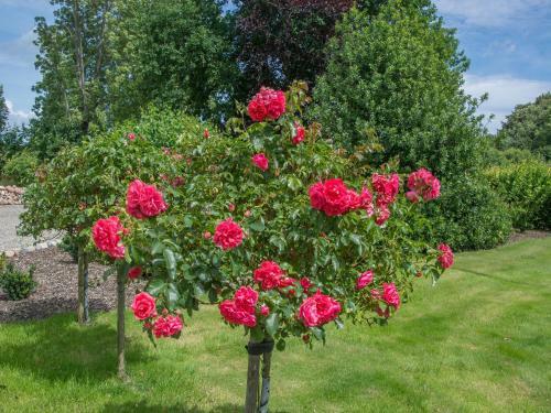 Apartamento Landurlaub Regenholz